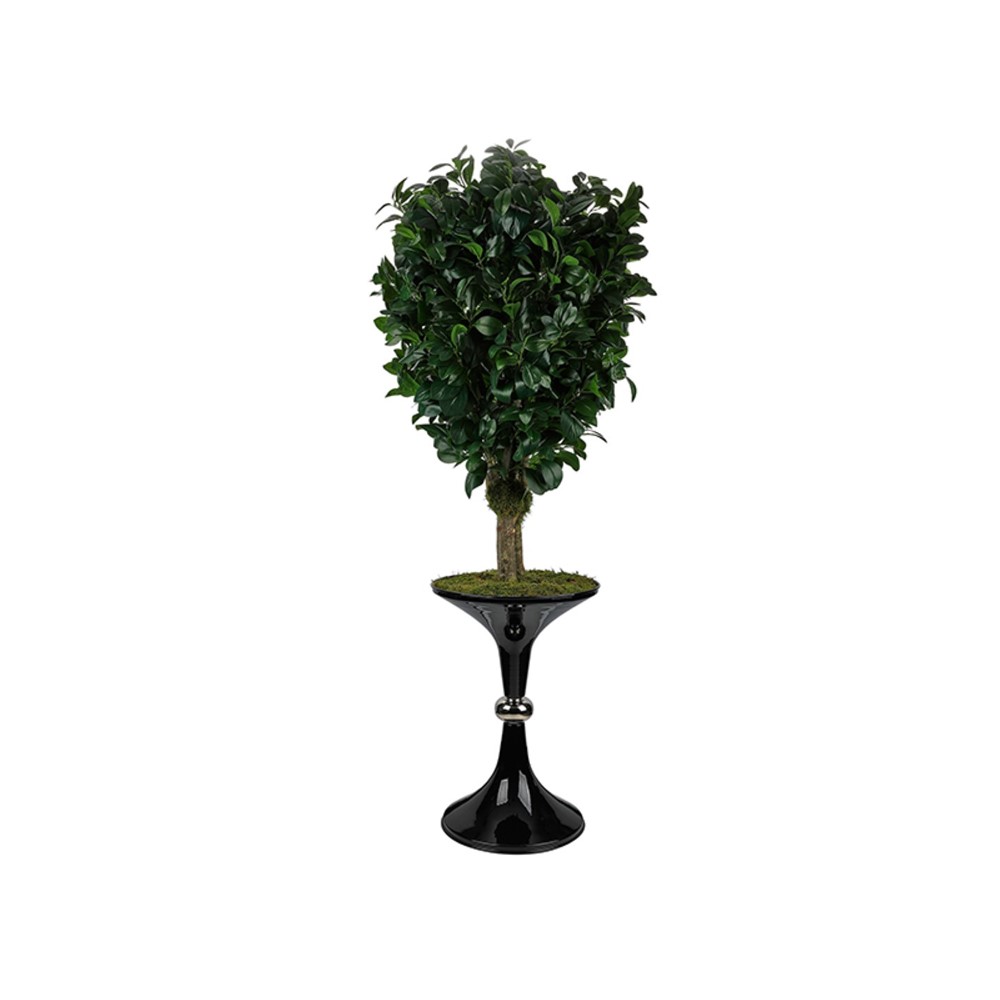 Kadeh Saksı (95cm)